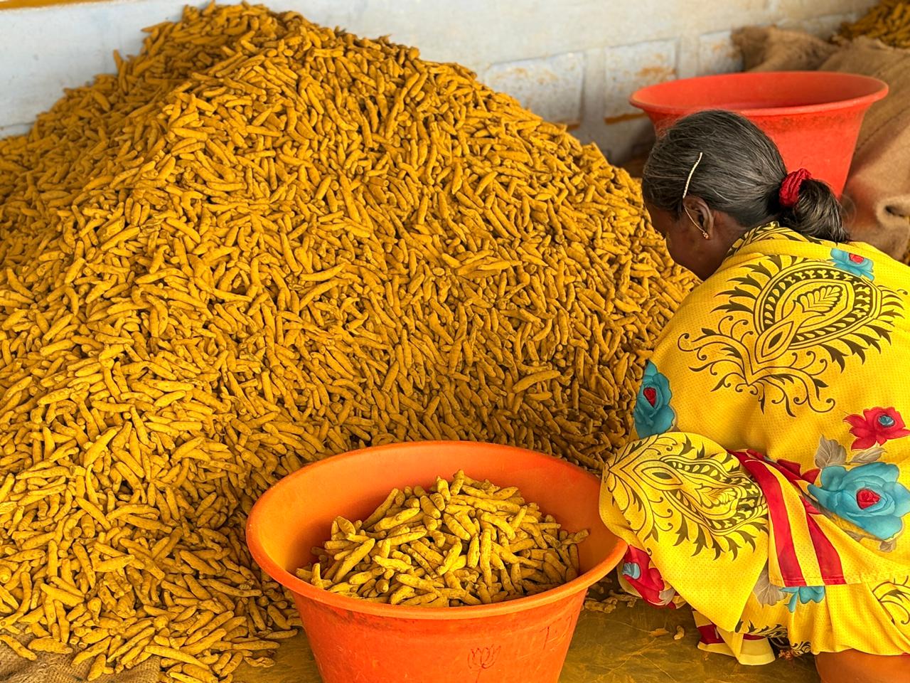 Turmeric image 1